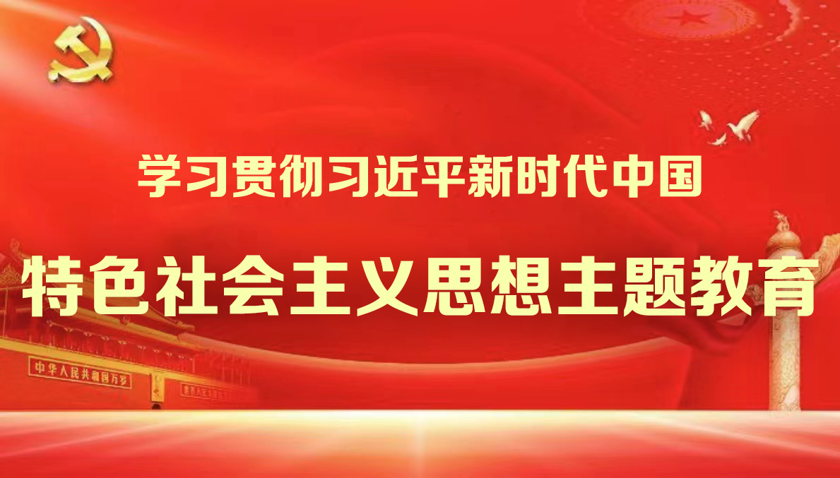 学习贯彻习近平新时代中国特色社会主义思想主题教育