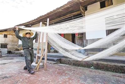 特色产业激活内生发展动力 ——枫林村多元产业并进闯出致富路