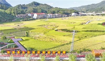 庆丰收　迎盛会  菜溪乡系列特色文旅点位精彩亮相