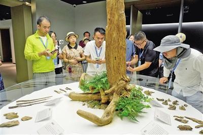 体验精湛工艺  感受创新之路  57名海外华文媒体代表来仙采风