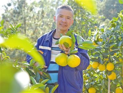 仙果好“丰”景