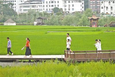 邂逅古厝与新景  菜溪象星村“清凉经济”持续升温