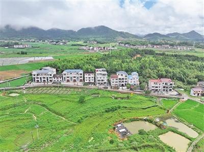 山居焕彩 稻浪生金
